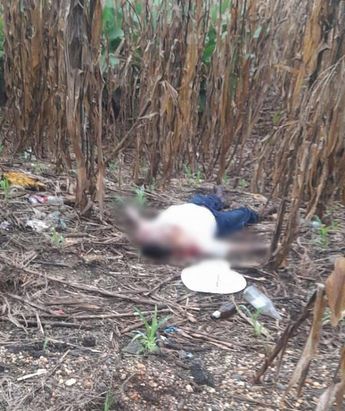Solo unos días después de ser secuestrado, el exalcalde de Chinameca fue abandonado en un campo de sembradíos / Cortesía