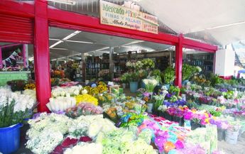 Mercado de las Flores en Mezquitán | Telediario
