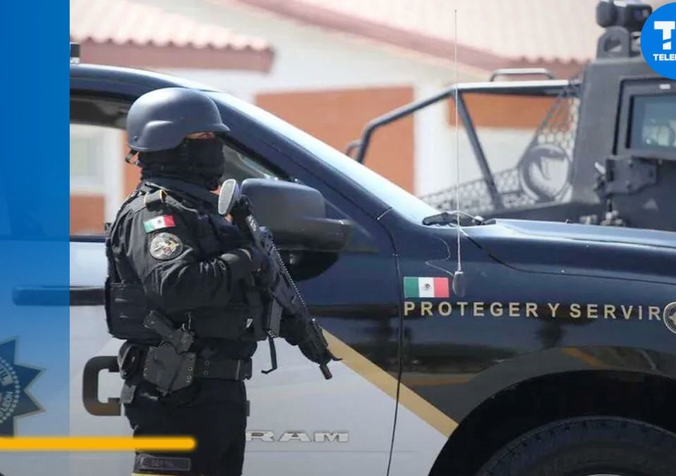 Fuerza Civil / Especial