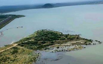 Presa Cerro Prieto | Especial