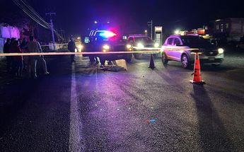 El cuerpo quedó en medio de la carretera / Vicente Torres Alfaro