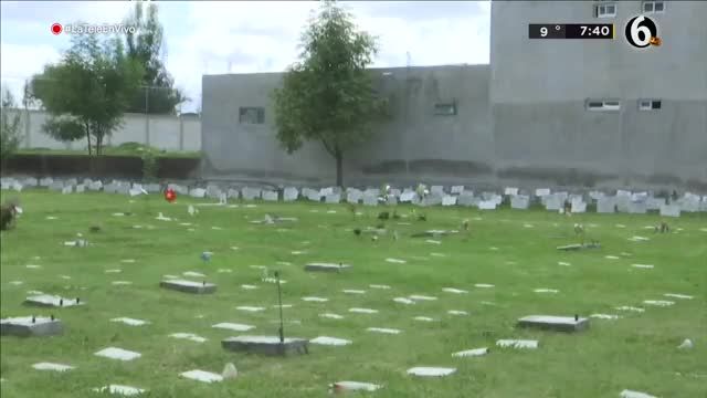 PUEBLA. CEMENTERIO MASCOTAS