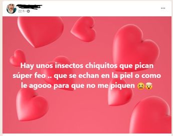 Usuarios reportan plaga de mosquitos en Monterrey.  | Especial