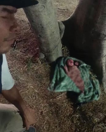 Una bebé fue encontrada envuelta en una toalla verde en un parque de Huatulco / Wilmer Gil López