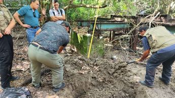 El cadáver del cocodrilo fue sepultado por el personal en el propio estero | Parque Estero El Salado