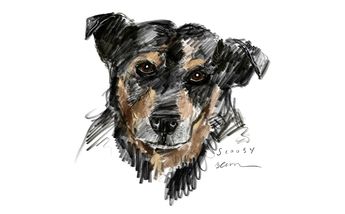 Asesino del perrito ‘Scooby’ es sentenciado a prisión/ Fernando Cruz