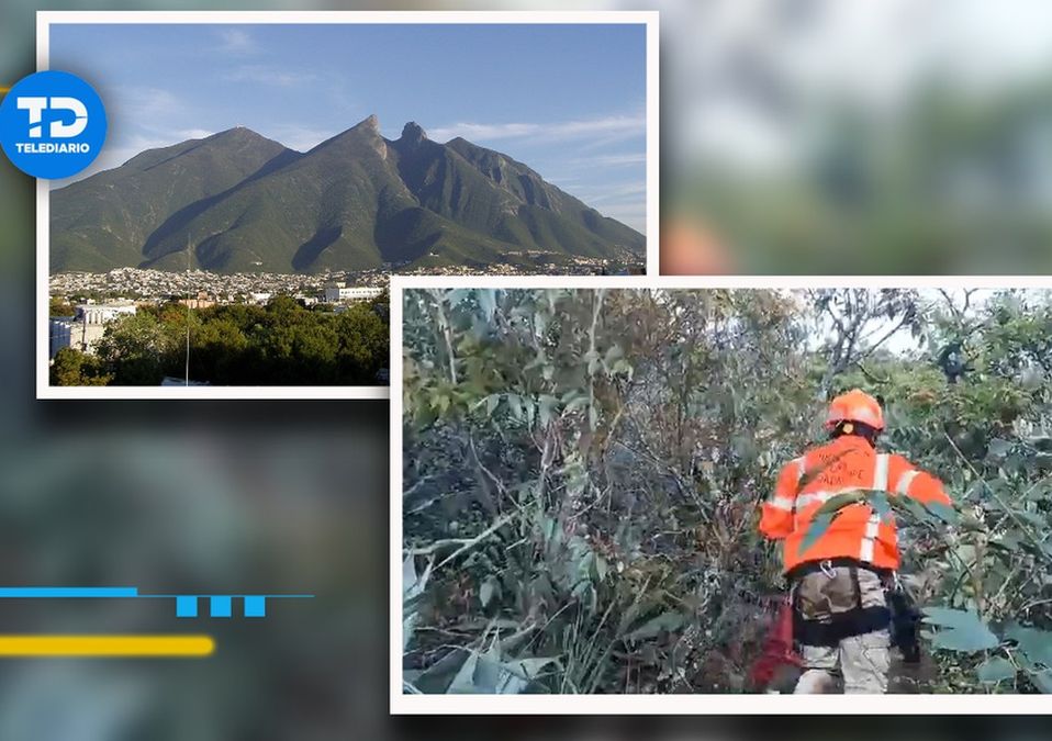 Senderistas quedan varados en el Cerro de la Silla. | Especial