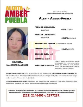 Alejandra Maldonado desapareció desde el pasado 28 de octubre, según la Alerta Amber / Cortesía