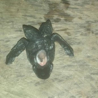 El pronóstico de vida de la tortuga golfina de dos cabezas es corto debido a que puede morir ahogada / Especial