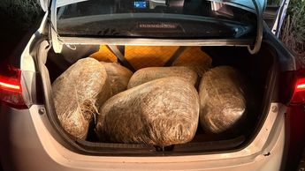 En el vehículo encontraron diversos envoltorios con marihuana. | Secretaría de Seguridad de Jalisco