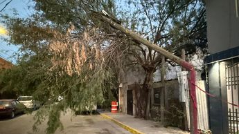 El poste se encuentra en la calle Oscar Herrera, en su cruce con Antiguo Camino a San Martín.