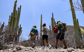 Personas recorren la Reserva de la Biosfera Tehuacán-Cuicatlán | Anel Esgua | Es Imagen