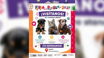 Espacio en la Feria para que familias poblanas le den una segunda oportunidad a perros y gatos rescatados | Feria de Puebla