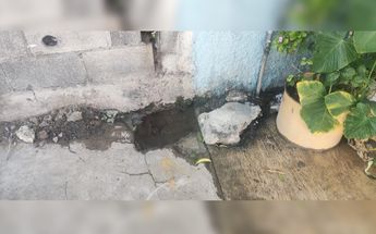 Vecinos reportan fuga de agua en Mty / Francisco Zuñiga Esquivel