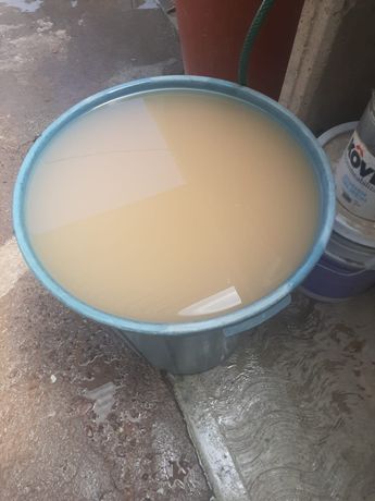 Agua contaminada y sucia en el fraccionamiento Santa Amelia