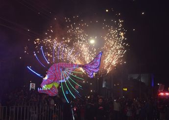 DESFILE ALEBRIJES 2