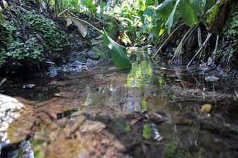 El agua del Atoyac se mantiene cristalina hasta sus primeros 6 kilómetros antes de entrar en contacto con aguas residuales del Edomex / Especial