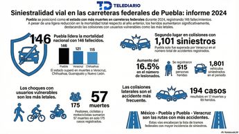 Los accidentes viales en carreteras federales en Puebla cobraron más de un centenar de vidas | Infografía generada con Notebook LM