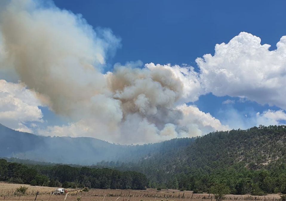 Protección Civil reporta incendio forestal cerca de Ejido Pablillo.