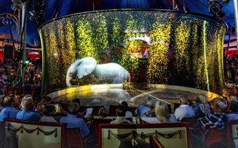 Hologramas de animales en circo / AFP