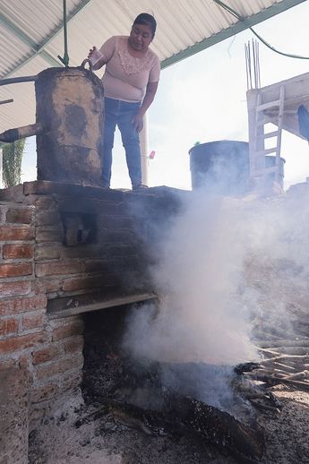 Tepeojuma es rica en las variedades de agave espadín y papalometl, del cual se obtiene un mezcal con sabor único / Andrés Lobato