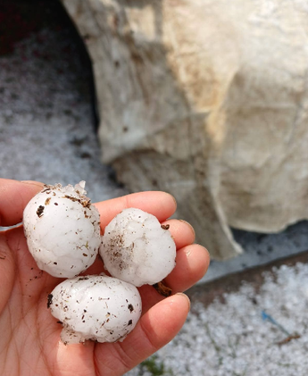 Habitantes de la zona reportan que el granizo tenía un tamaño grande y fuera de lo común. | Guadalupe Trejo