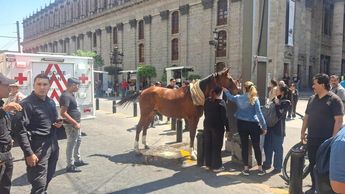 El caballo fue revisado y no presentó daños. | Telediario Especial