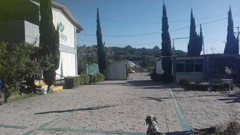 El alumno fue puesto a disposición de las autoridades municipales | Especial
