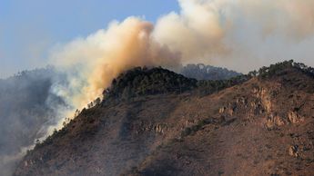 El cambio climático y los incendios provocados por personas son dos de los principales factores que ocasionan los incendios forestales | Andrés Lobato