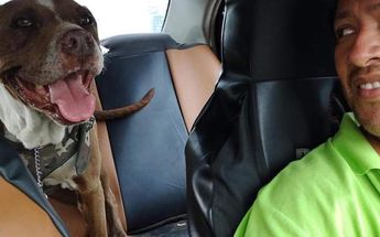 Luis creó la pensión taxista animalista en Iztapalapa/César García