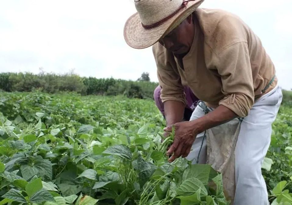 Escasez de agua afecta a agricultores de NL: "se la llevan a Monterrey"