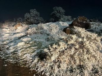 Cultivos de Veracruz amanecen cubiertos de hielo en Veracruz / Isabel Zamudio