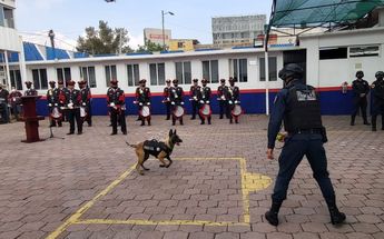 Canes de la PBI/ Gaspar Vela, Ramón Ramírez e Iván Ramírez