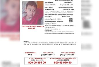 Ficha de búsqueda de Salvador Abdiel Flores Aguilar / FGJ Edomex