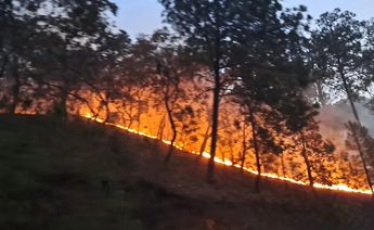 El 95% de los incendios forestales en NL son causados por el hombre: Protección Civil