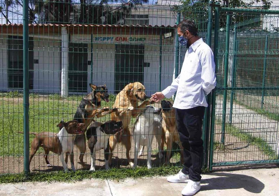 Los perros son tan adaptables que pueden reaprender comportamientos nuevos / Melanie Torres
