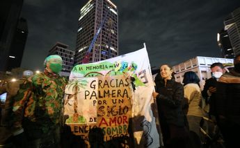 Sheinbaum supervisa retiro de la palma en Reforma / Javier Ríos
