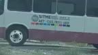 VIDEO: Camión urbano intenta ganarle el paso al tren; pasajeros aterrorizados bajan de la unidad