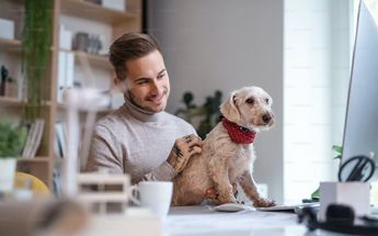 Beneficios de tener mascotas en el trabajo / Unsplash
