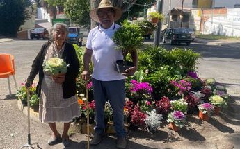La pareja de la tercera edad vende sus plantas en la colonia La Paz / Leslie Mora