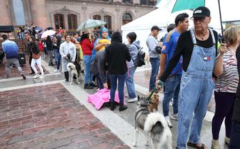 MacroPet en Nuevo León | Raúl Palacios