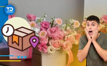 Descubre las alternativas para enviar flores a domicilio en Guadalajara/ Especial