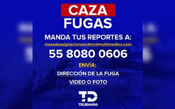 Caza Fugas ayudará a TELEDIARIO a ser la voz de la ciudadanía / Antonio Texta.