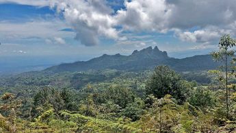 Paisaje de la reserva natural Atecomoni en Teziutlán | Yanahui Flores