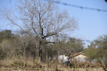 La inversión del Estado en infraestructura al norte de la entidad, irónicamente podría provocar el aumento de despojos. | Jorge López