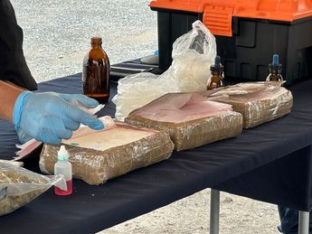 Se informó que fueron incinerados 858 kilos de droga. | Cortesía