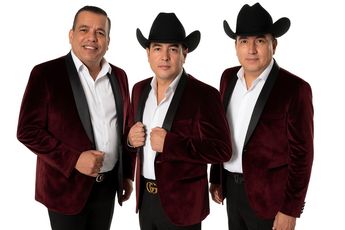 Los inicios de Ariel Camacho y los Plebes del Rancho fueron en fiestas privadas, reuniones y eventos locales en su natal Guamúchil, Sinaloa