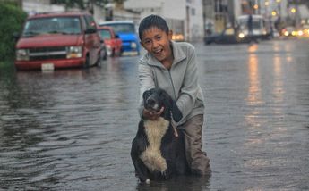 Trámites de adopción en Puebla / Andrés Lobato.