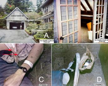 El informe forense revela una marca de inyección en el brazo dominante de Kurt Cobain | IJFSC