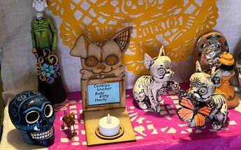 Ofrenda de mascotas / César García